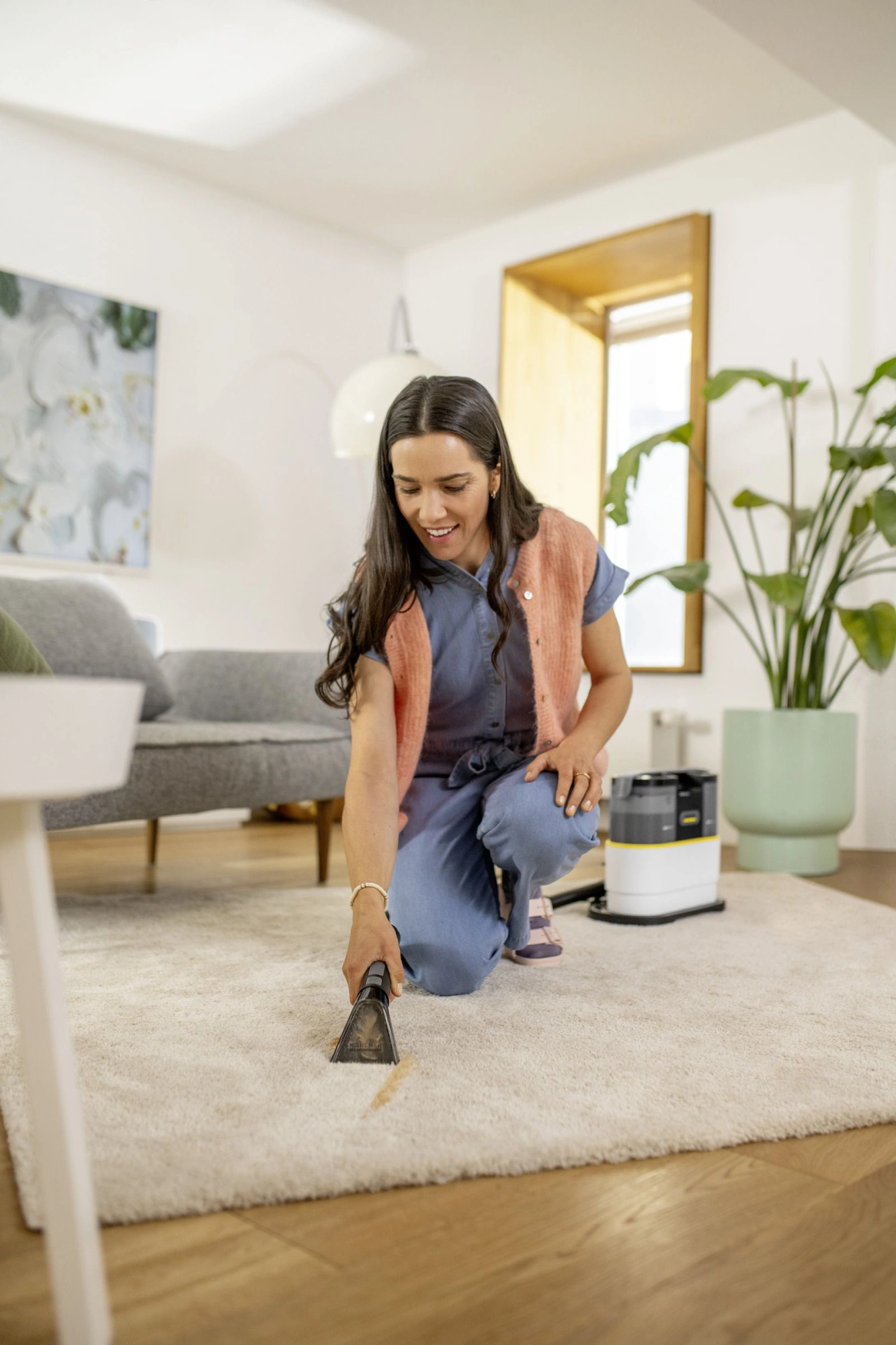 Пылесос моющий Karcher SE 2 Spot Care *EU 450Вт белый/черный — миниатюра 4