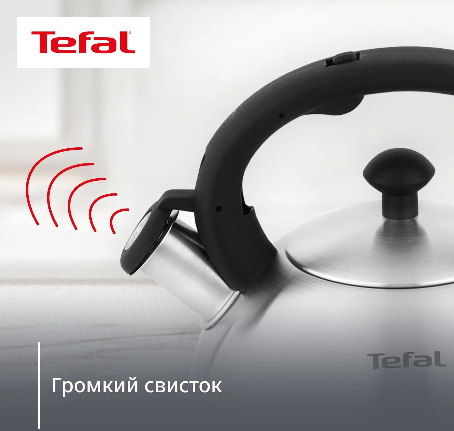 Чайник металлический Tefal Wawe N4210117 2.5л. серебристый (3110602015) — миниатюра 9