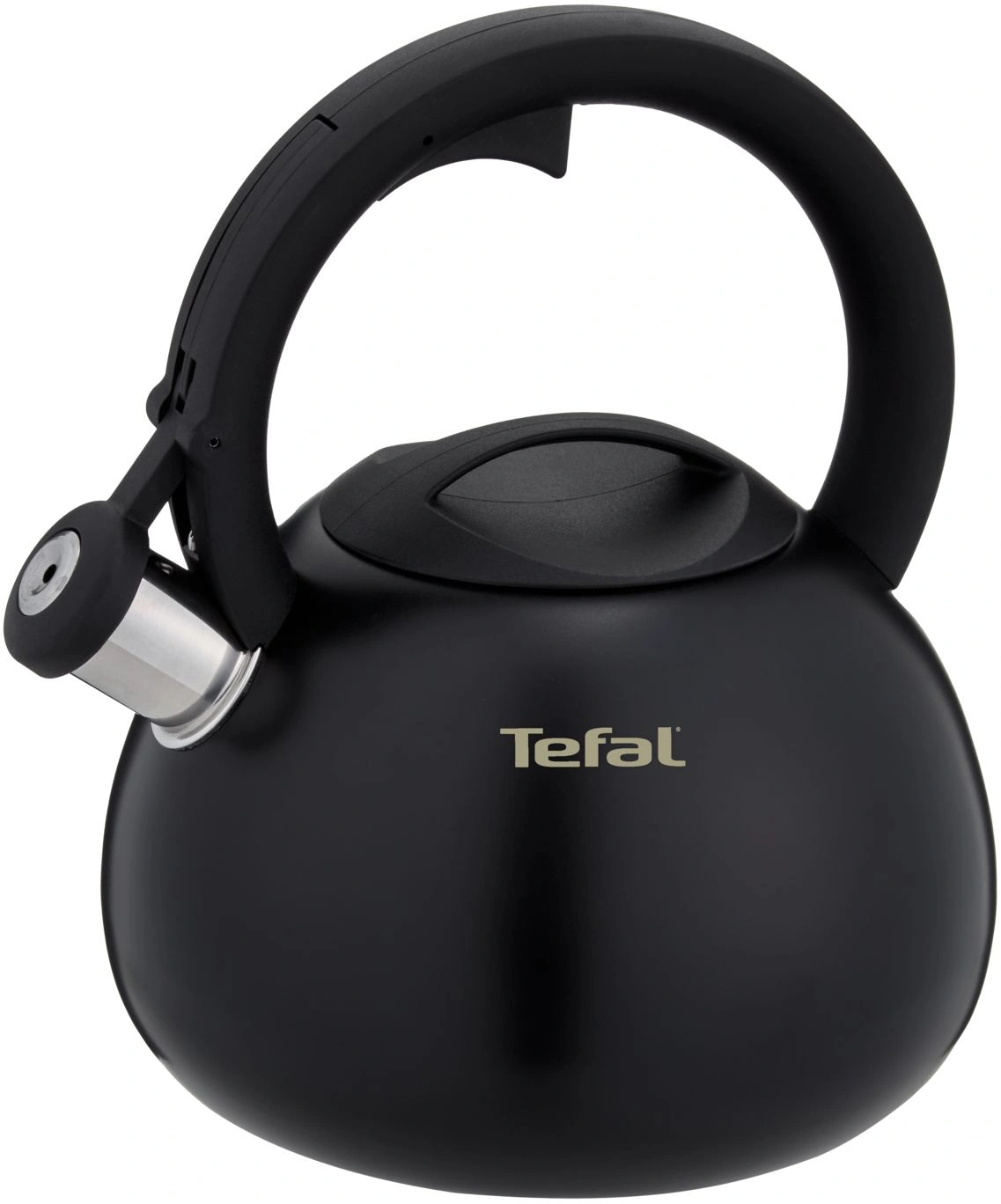 Чайник металлический Tefal Intuition N4180417 2.5л. черный (3110601825) — фото 1