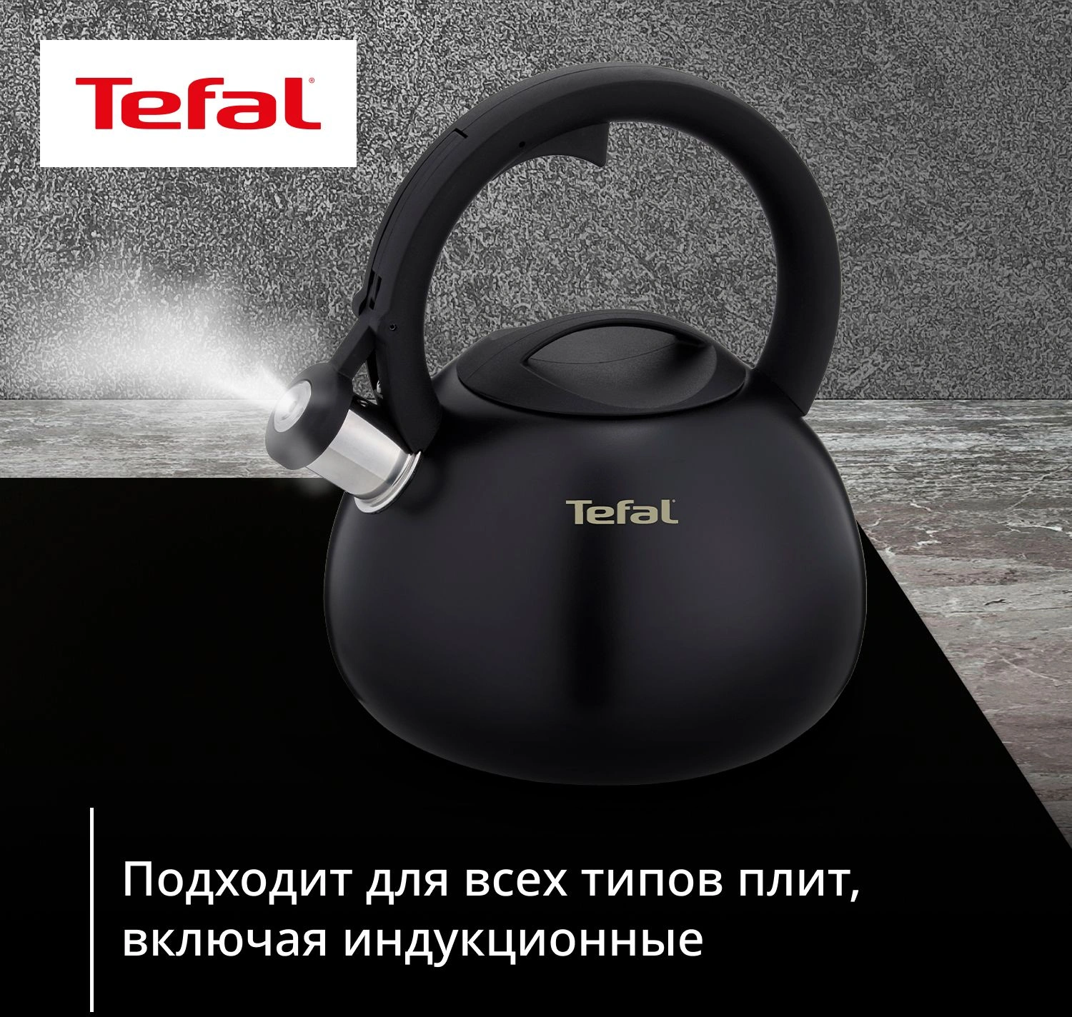 Чайник металлический Tefal Intuition N4180417 2.5л. черный (3110601825) — миниатюра 4