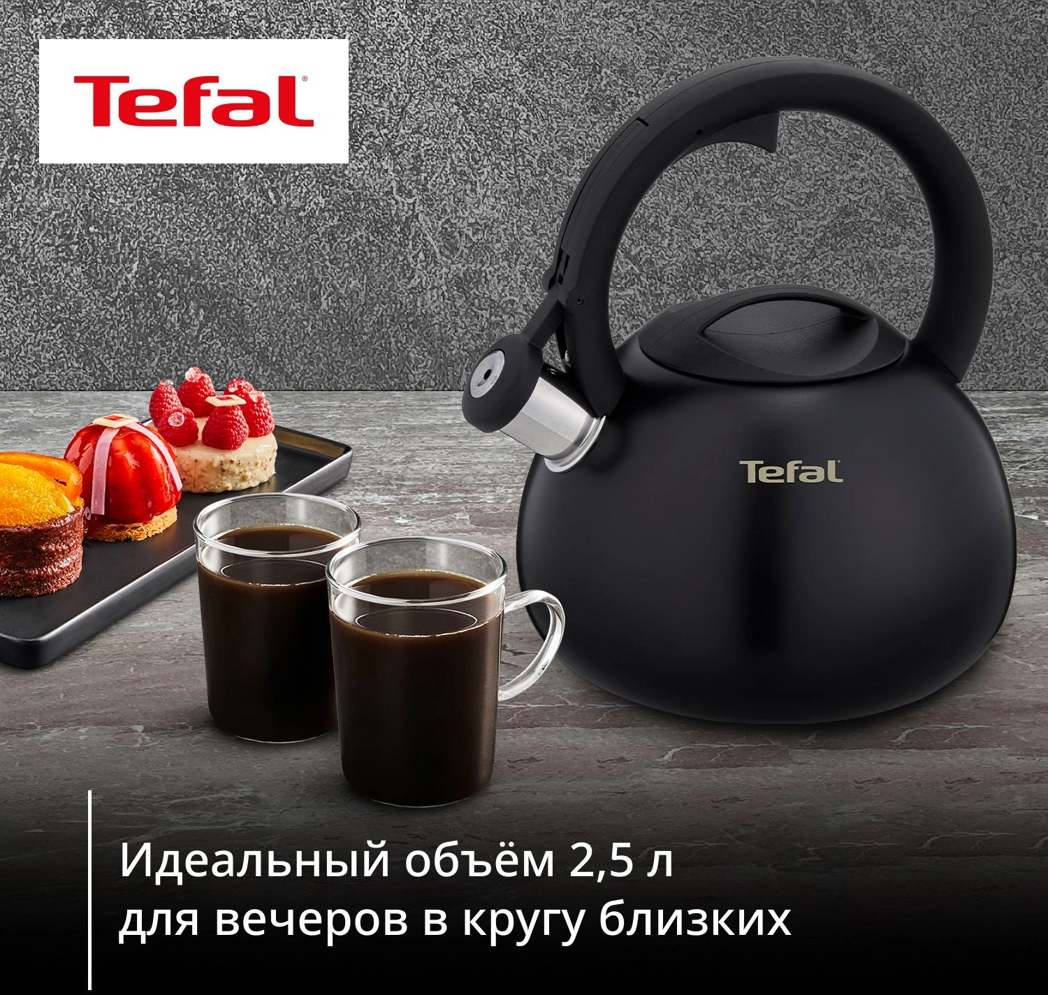 Чайник металлический Tefal Intuition N4180417 2.5л. черный (3110601825) — миниатюра 6