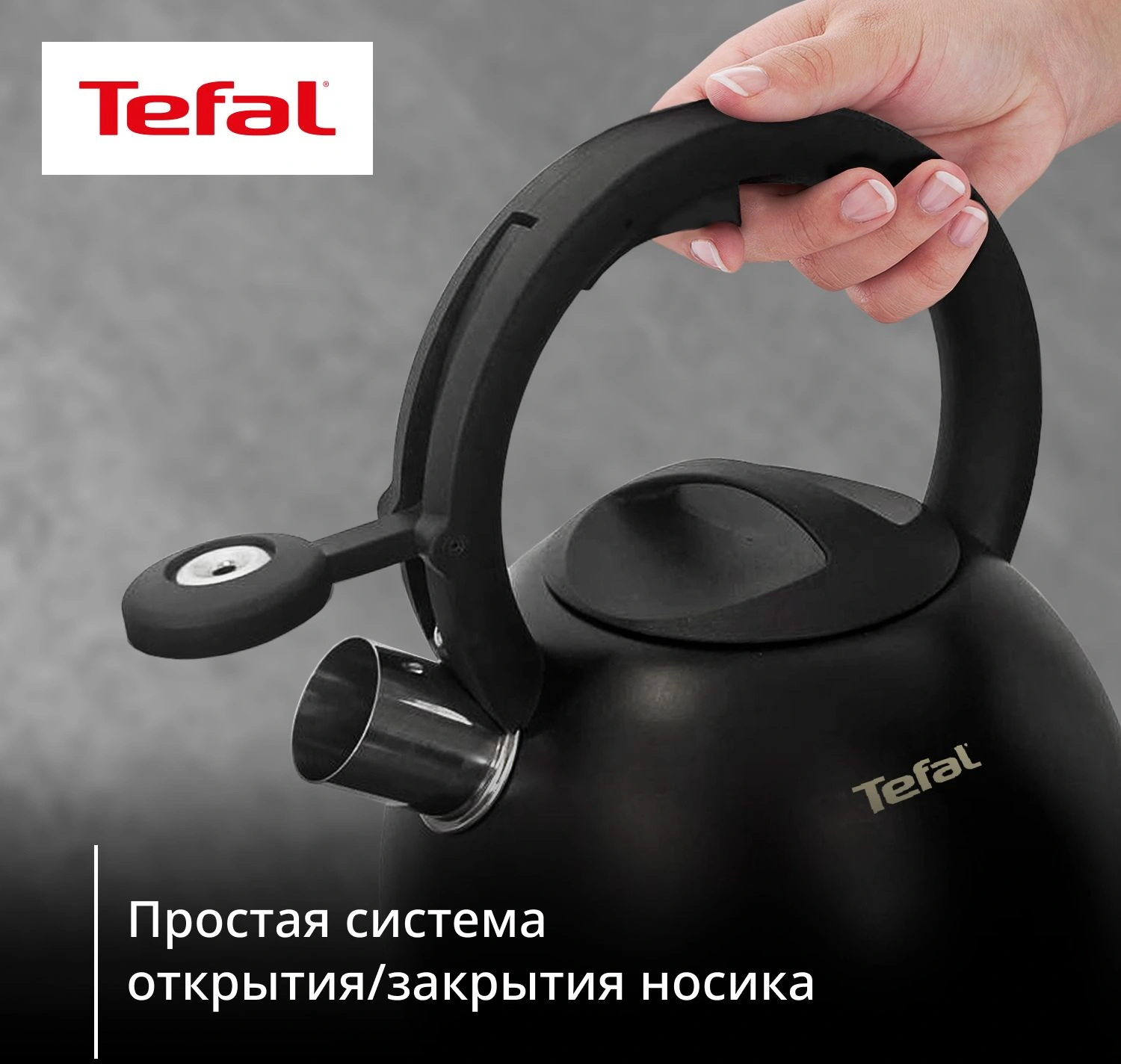 Чайник металлический Tefal Intuition N4180417 2.5л. черный (3110601825) — миниатюра 7