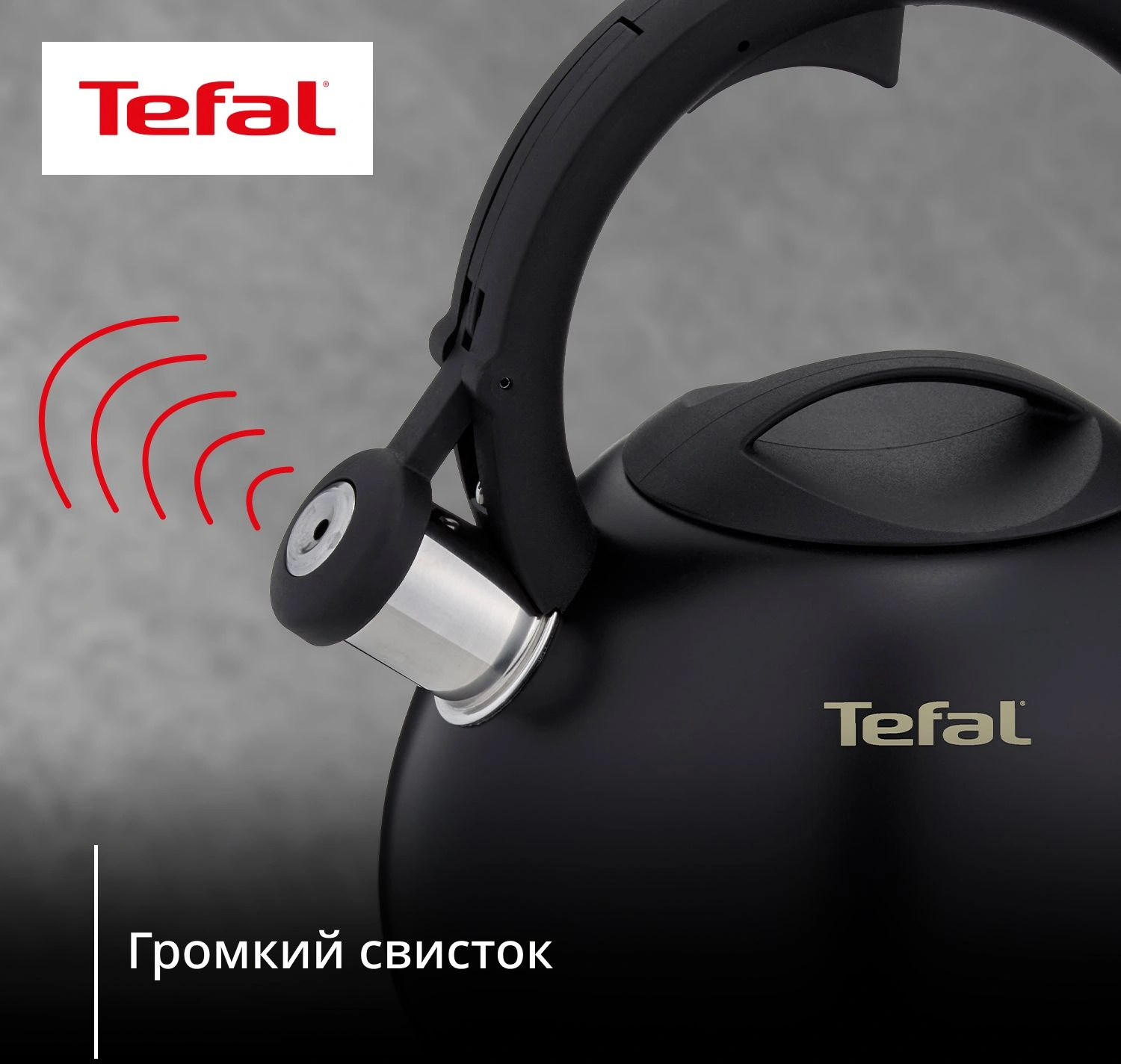 Чайник металлический Tefal Intuition N4180417 2.5л. черный (3110601825) — миниатюра 9