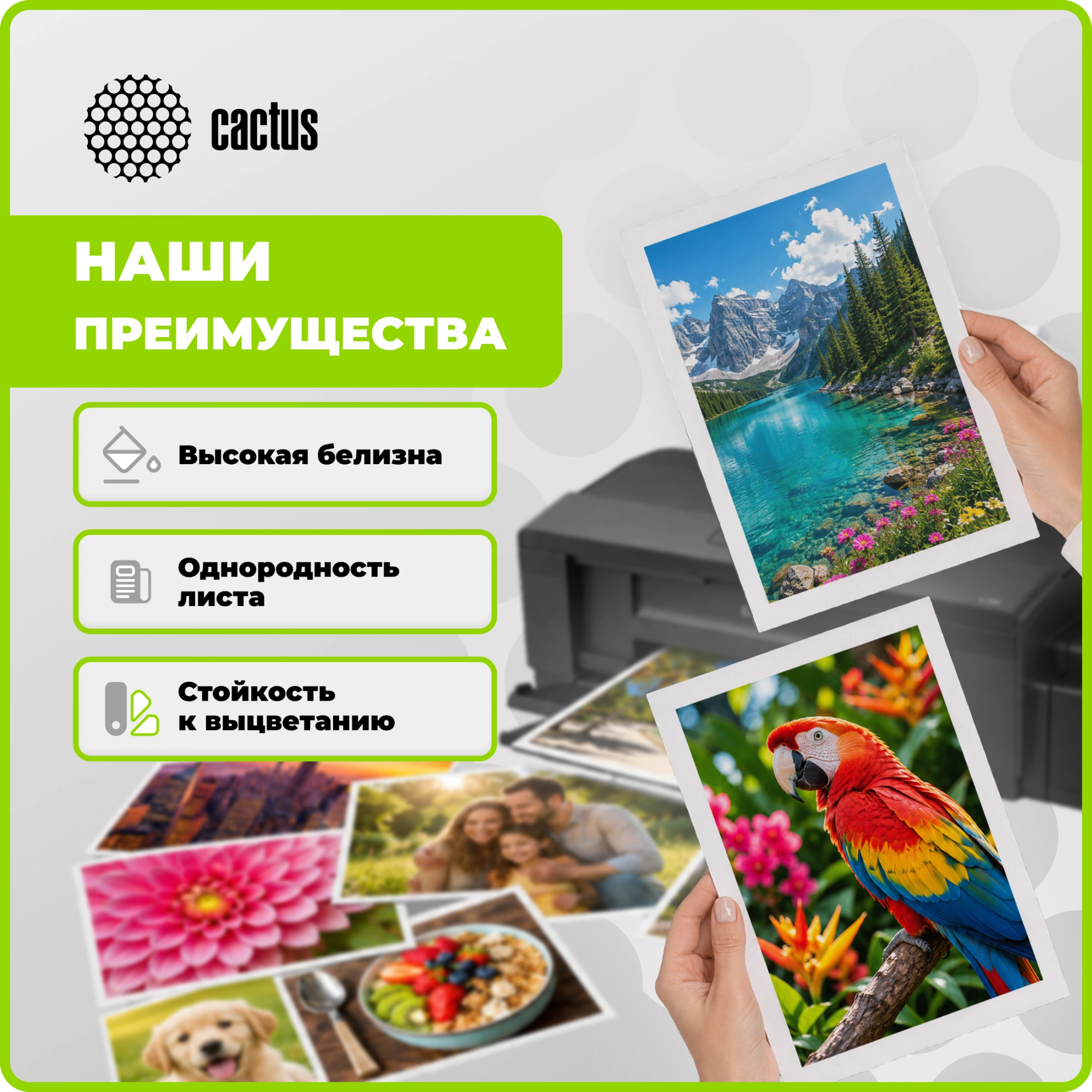 Фотобумага Cactus CS-MA6200500 10x15/200г/м2/500л./белый матовое для струйной печати — миниатюра 4