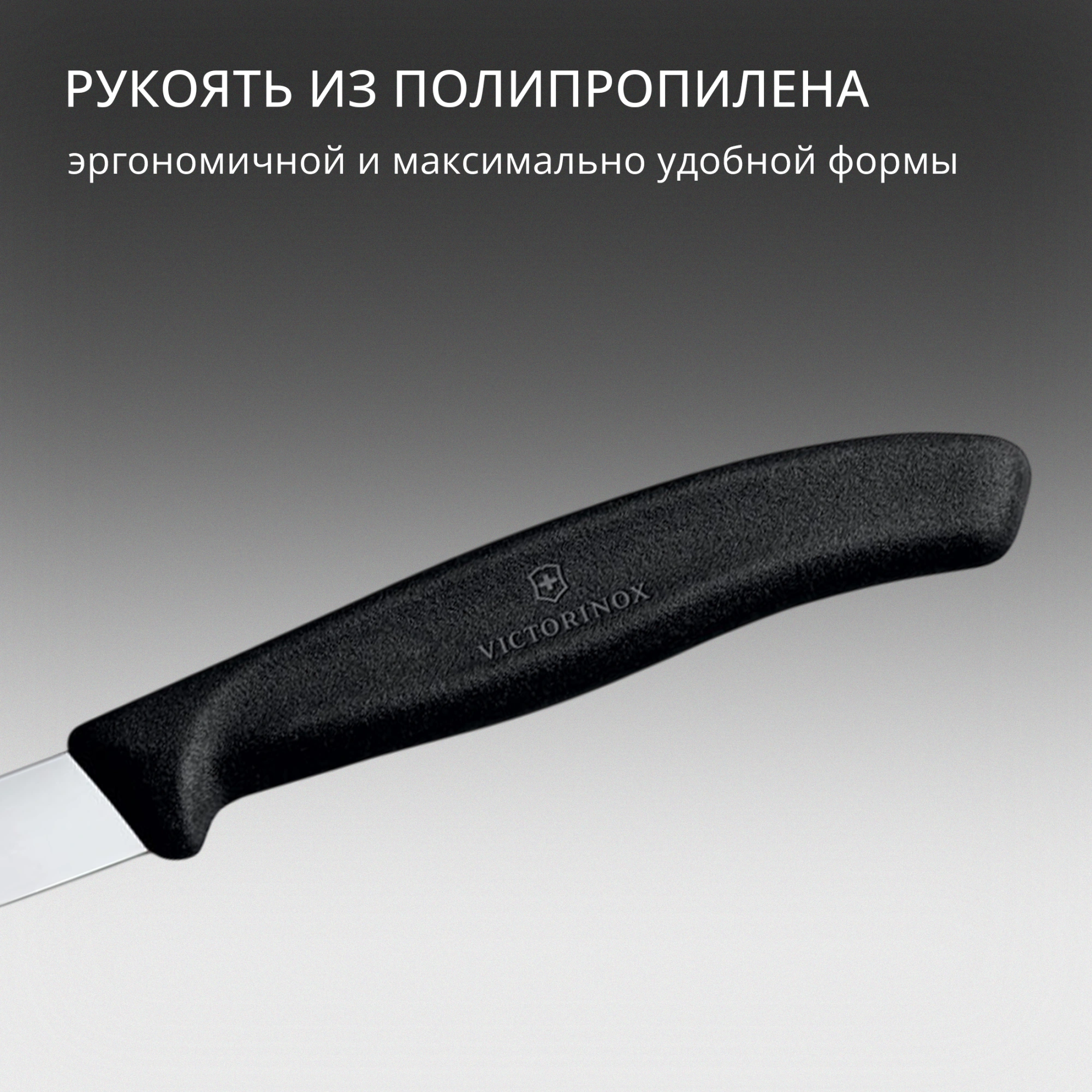 Нож кухонный Victorinox Swiss Classic (6.7603) стальной для чистки овощей и фруктов лезв.80мм прямая заточка черный — миниатюра 5