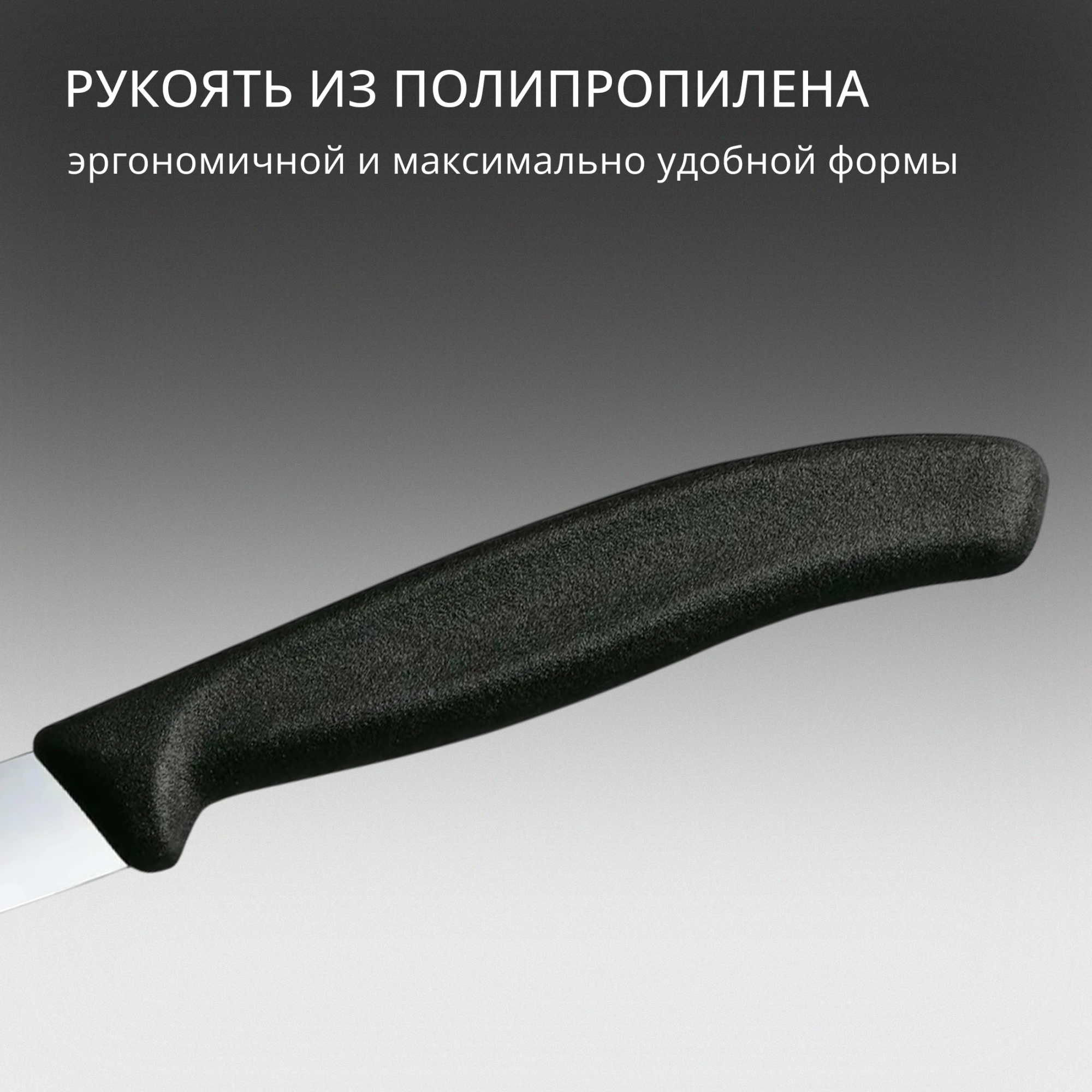 Нож кухонный Victorinox Swiss Classic (6.7703) стальной для чистки овощей и фруктов лезв.100мм прямая заточка черный — миниатюра 12