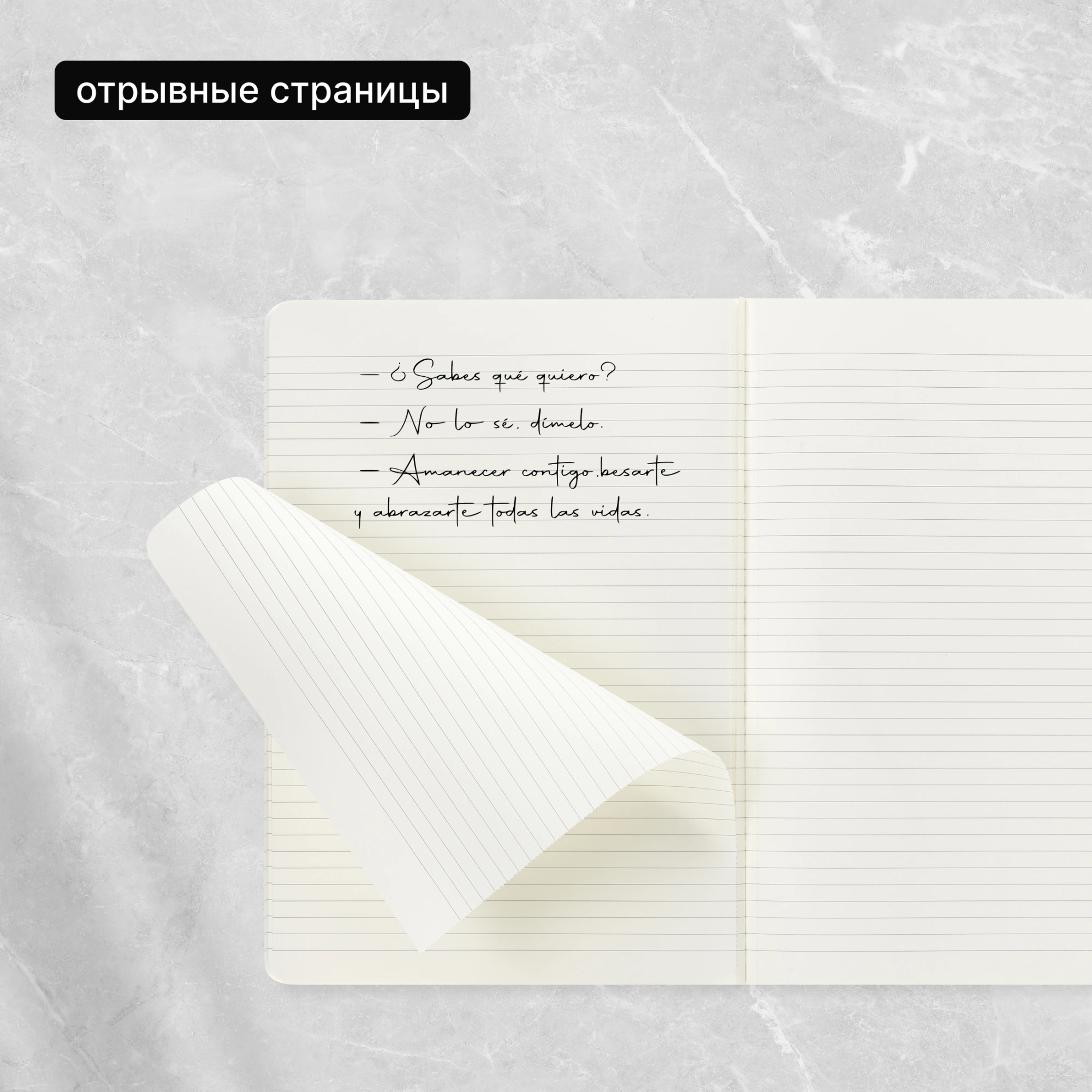 Блокнот Moleskine CAHIER JOURNAL QP321 XLarge 190х250мм обложка картон 120стр. линейка черный (3шт) — миниатюра 13