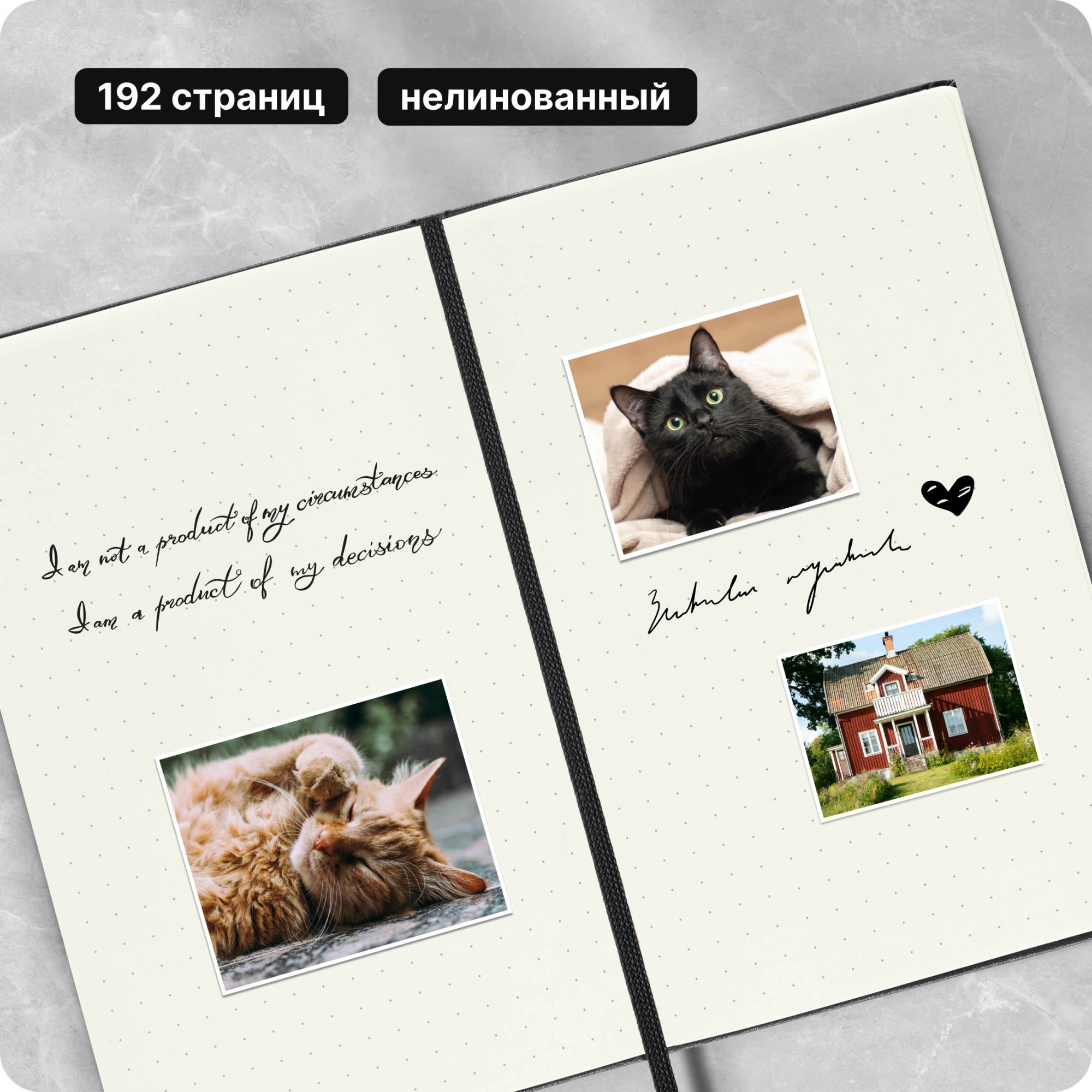 Блокнот Moleskine CLASSIC MM713 Pocket 90x140мм 192стр. пунктир твердая обложка черный — миниатюра 9