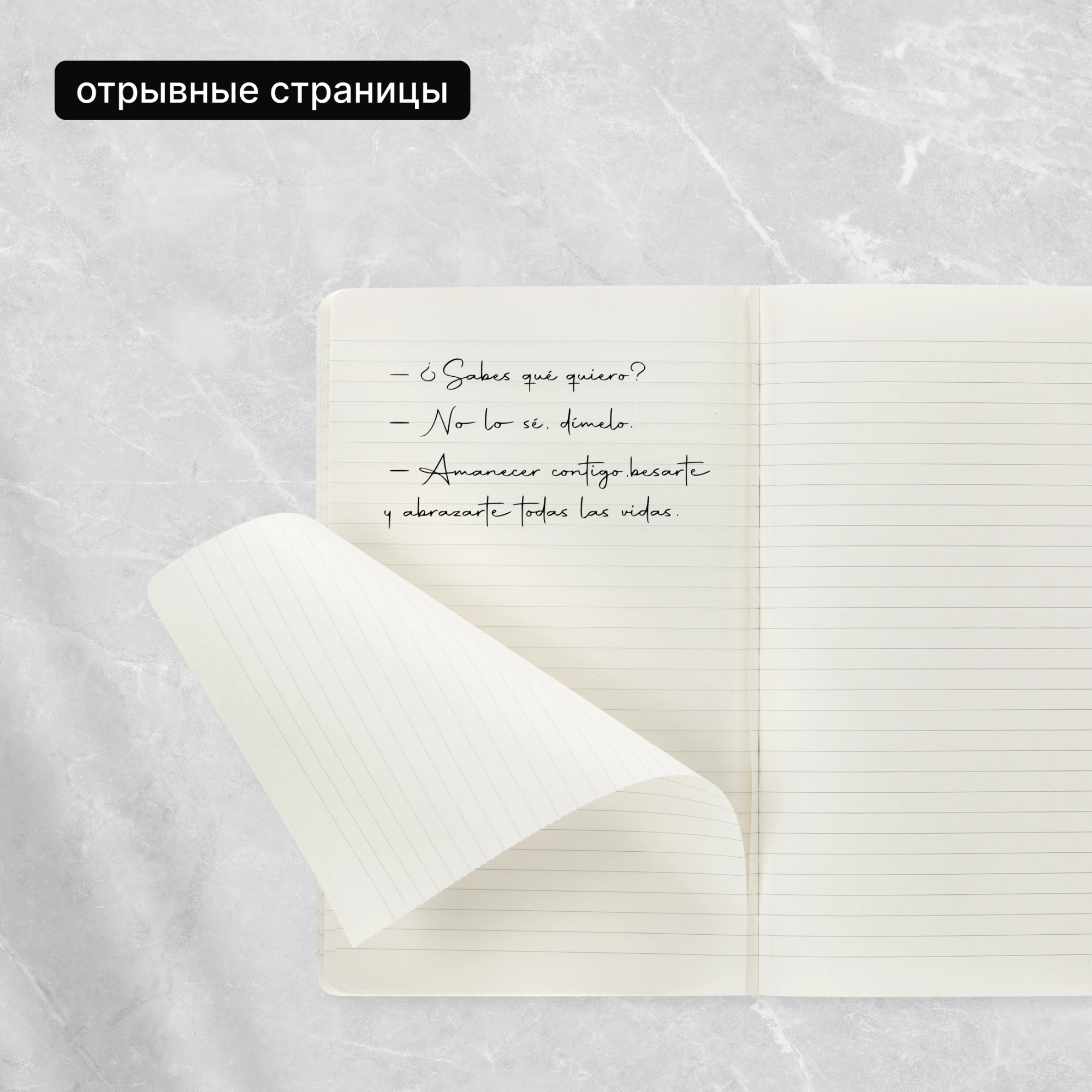 Блокнот Moleskine CAHIER JOURNAL CH116 Large 130х210мм обложка картон 80стр. линейка клюквенный (3шт) — миниатюра 11