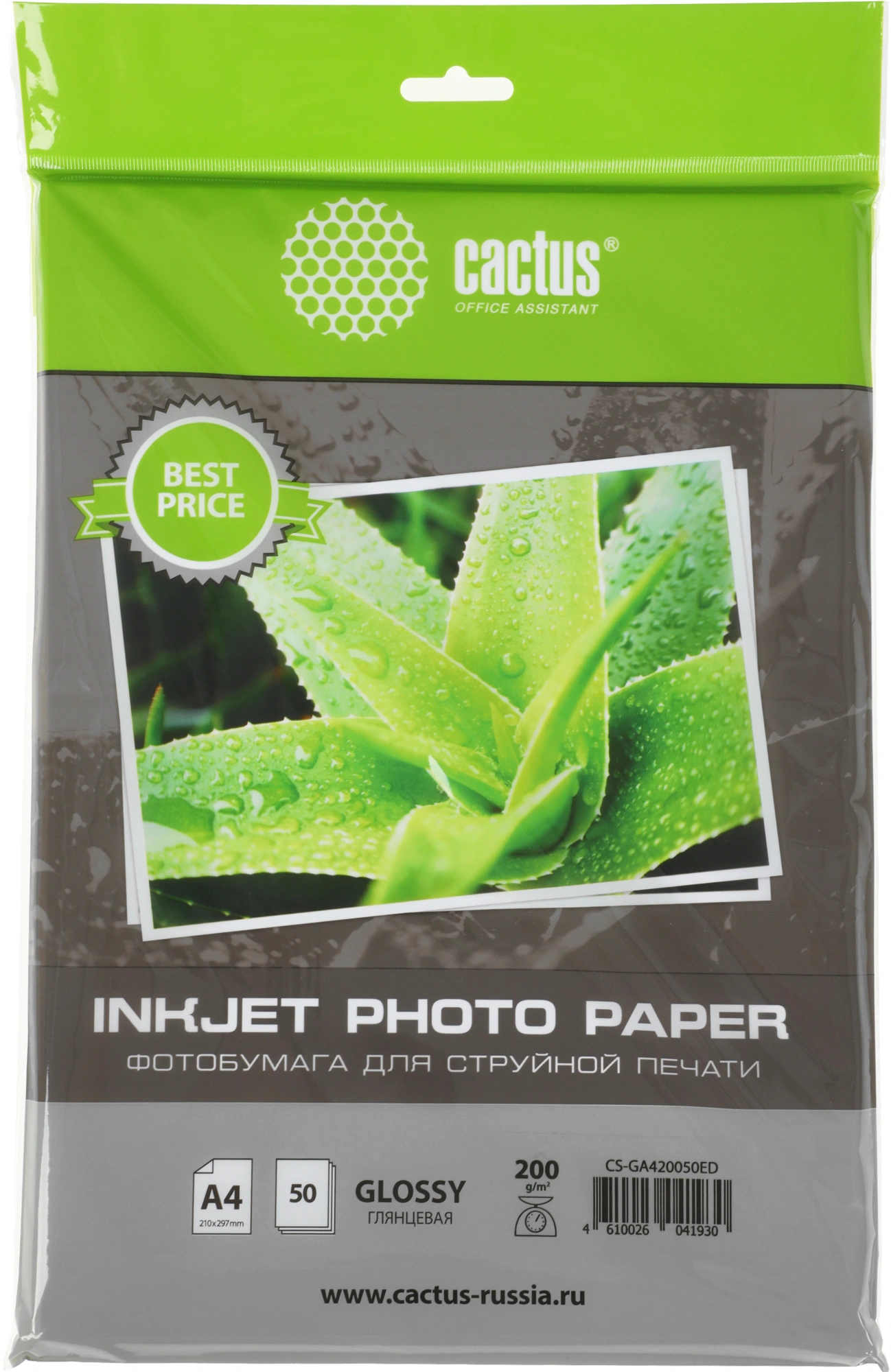 Фотобумага Cactus CS-GA420050ED A4/200г/м2/50л./белый глянцевое для струйной печати — фото 1