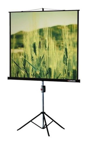 Экран на треноге Lumien 105" 220x165см Master View LMV-100113 4:3 напольный рулонный