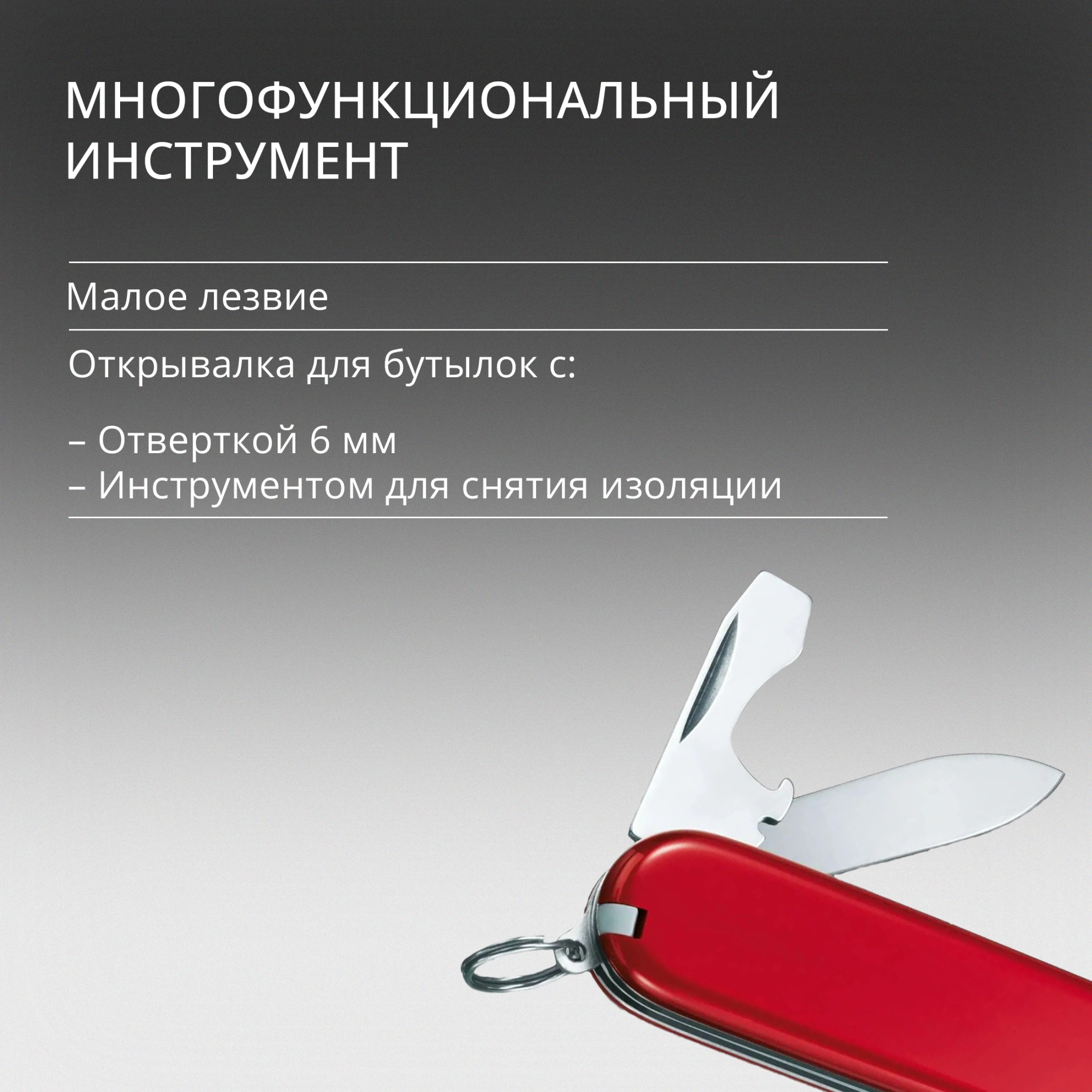Нож перочинный Victorinox Recruit (0.2503) 84мм 10функц. красный карт.коробка — миниатюра 13