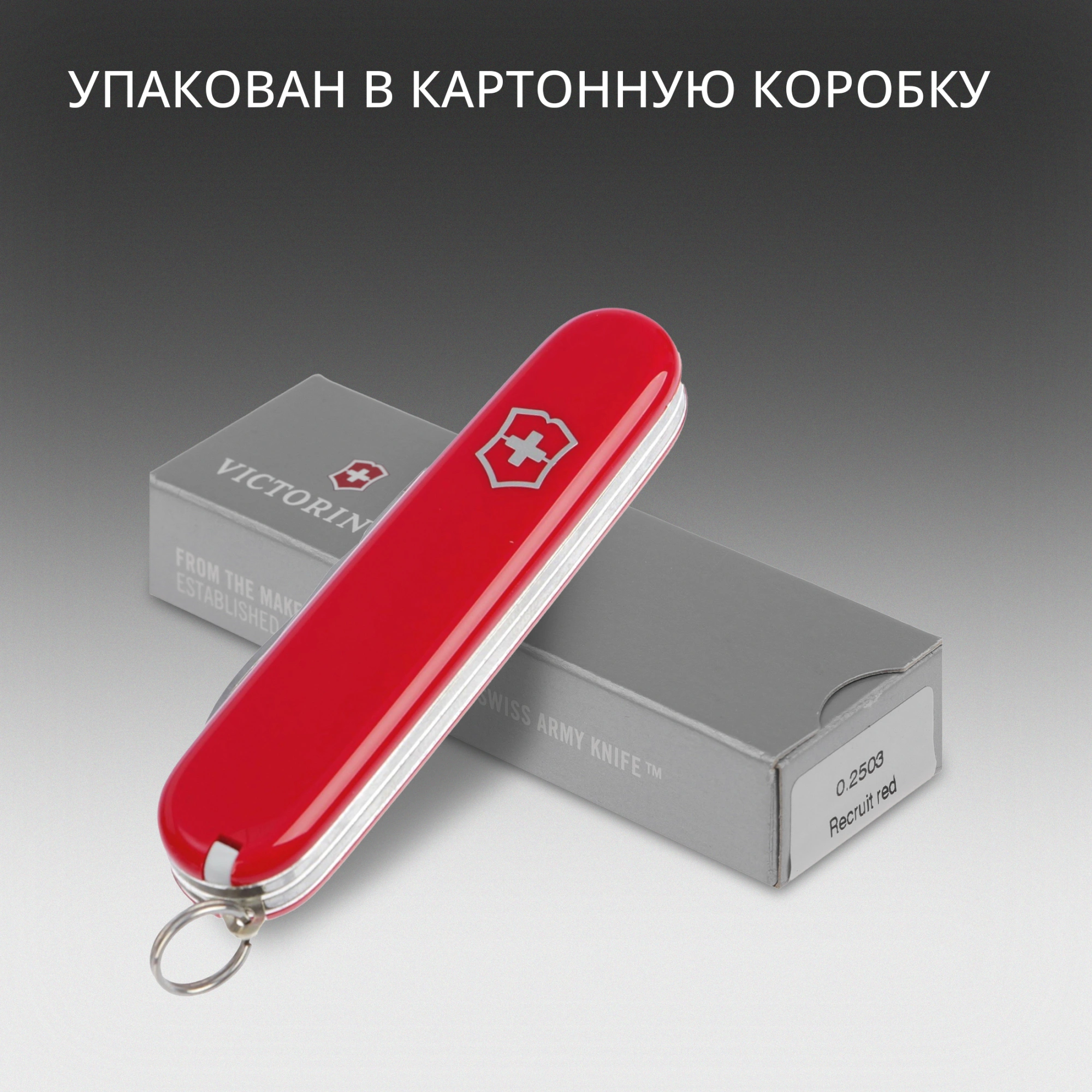 Нож перочинный Victorinox Recruit (0.2503) 84мм 10функц. красный карт.коробка — миниатюра 15