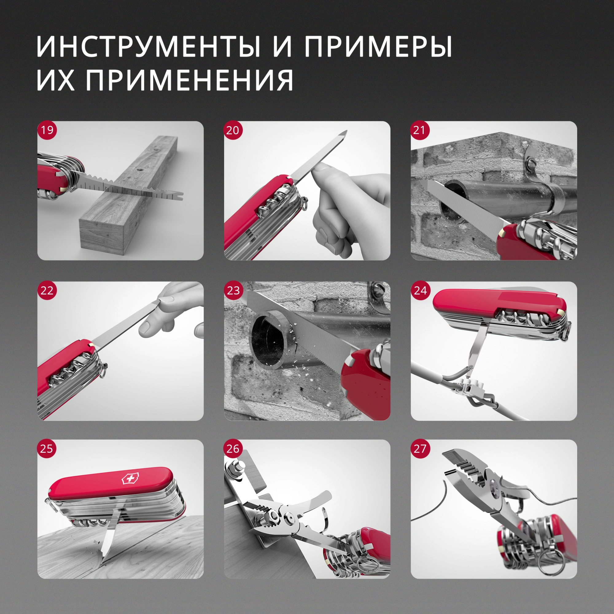 Нож перочинный Victorinox Spartan (1.3603.T2) 91мм 12функц. синий полупрозрачный карт.коробка — миниатюра 24